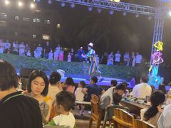 -渔家火锅·海鲜自助餐·演艺(亚龙湾天域酒店)