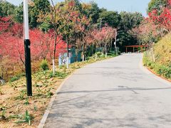 -广州市帽峰山景区