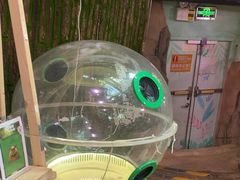 -正佳雨林生态植物园