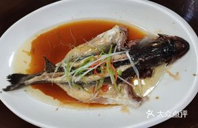 Colorful Sea Bass