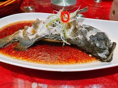 -龙景軒大酒店(共康店)