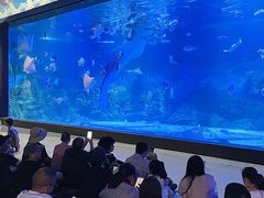 -烟台海昌鲸鲨海洋公园