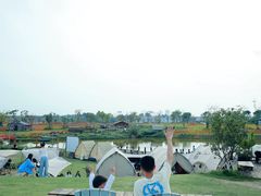 -空港花田景区