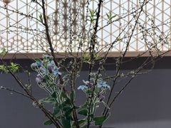 -帝京日语(春熙路旗舰校区)