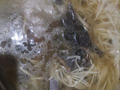 -磨西小解(炉城南路分店)