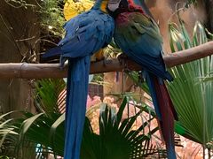 -杭州开元森泊度假乐园