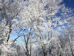 -中旅松花湖滑雪场