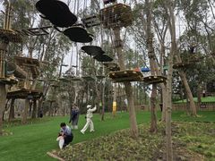 -昆山城市生态森林公园