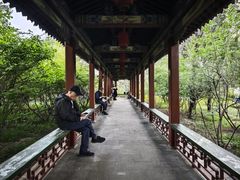-迎泽公园