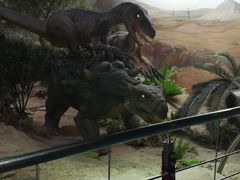 -国家自然博物馆