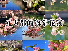 -元大都城垣遗址公园