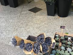 -花草间花行(法华镇路店)