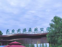 -黄海国家森林公园