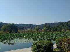 -龙寺生态园