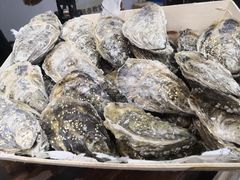 -HIHE Bistro·Oyster Bar(华熙live店)