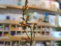 -今日陶艺(富力广场店)