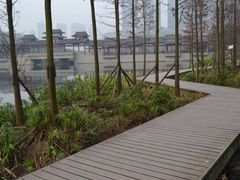-重庆彩云湖湿地公园