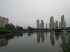 -前关湿地公园