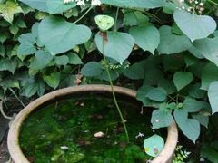 android_upload_pic-留荫庐旅馆