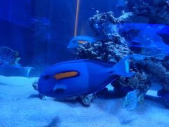 -上和臻品中国菜(花园街店)