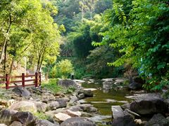 -广州白江湖森林公园