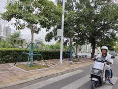 -金鸡岭桥头公园