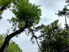 -寒山寺