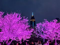 -西北湖绿化广场