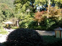 -黄山温泉国际旅游度假区