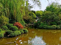 -秋霞圃