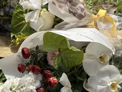 -花生FM_FLOWERS