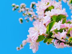 -海棠花溪(元大都城垣遗址公园)