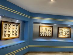 -上海昆虫博物馆