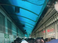 -首都医科大学附属北京同仁医院(西区)