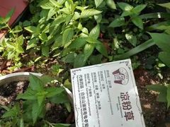 -广州神农草堂中医药博物馆