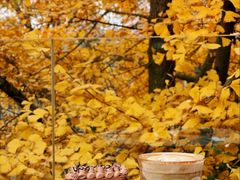 -腾爱熊猫咖啡生活馆(老东门店)