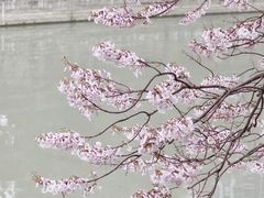 -红星桥(地铁站)