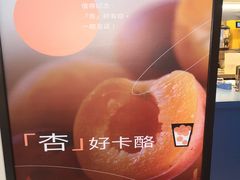 -春丽小马(济南恒隆广场店)