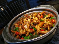 青椒紫苏牛蛙锅-蛙小侠(卓悦里店)