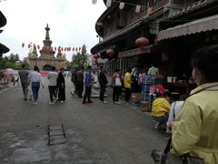 -眼镜粑粑