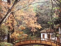 -天明山温泉大酒店
