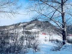 -雪谷
