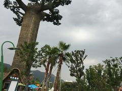 -苏州乐园森林水世界