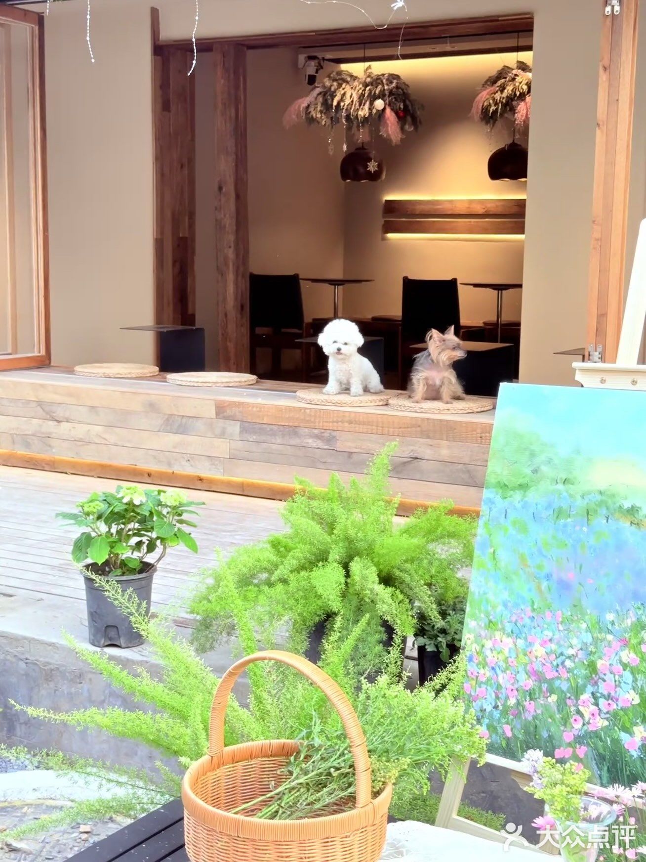 谁又幸福了！郑州居民区邂逅春日小甜店🥰