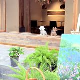 谁又幸福了！郑州居民区邂逅春日小甜店🥰