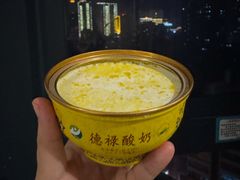 -德禄酸奶(莫家街店)