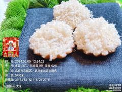 -华尔道夫酒店·鸢尾宫1893(金鱼胡同店)