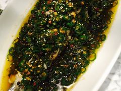 鲜椒过水鱼-茉莉花空中花园餐厅(义乌店)