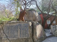 -乌山风景区