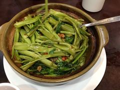 -尝囍煲仔小菜